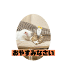 じいじと仲間たち（個別スタンプ：4）