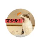 じいじと仲間たち（個別スタンプ：5）