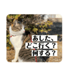 じいじと仲間たち（個別スタンプ：6）