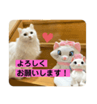じいじと仲間たち（個別スタンプ：7）