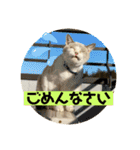 じいじと仲間たち（個別スタンプ：8）