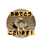 じいじと仲間たち（個別スタンプ：9）