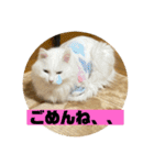 じいじと仲間たち（個別スタンプ：10）