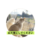 じいじと仲間たち（個別スタンプ：11）