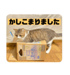じいじと仲間たち（個別スタンプ：13）