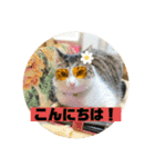 じいじと仲間たち（個別スタンプ：14）