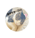 じいじと仲間たち（個別スタンプ：15）