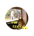 じいじと仲間たち（個別スタンプ：16）