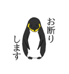 ありえんペラーペンギン（個別スタンプ：17）