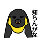 ありえんペラーペンギン（個別スタンプ：39）