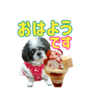 パフェを見つめる愛犬（個別スタンプ：1）