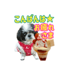 パフェを見つめる愛犬（個別スタンプ：3）