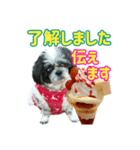 パフェを見つめる愛犬（個別スタンプ：9）