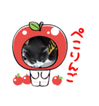 愛猫＆兄弟猫（個別スタンプ：6）