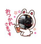 愛猫＆兄弟猫（個別スタンプ：7）