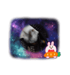 愛猫＆兄弟猫（個別スタンプ：10）