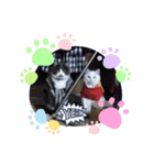 愛猫＆兄弟猫（個別スタンプ：13）