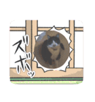 愛猫＆兄弟猫（個別スタンプ：14）
