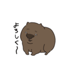 ウォンちゃん！かわいいウォンバット〜日常（個別スタンプ：1）