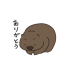 ウォンちゃん！かわいいウォンバット〜日常（個別スタンプ：3）
