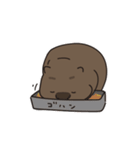 ウォンちゃん！かわいいウォンバット〜日常（個別スタンプ：18）