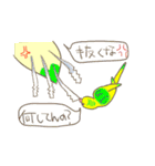 コザクラインコ大阪弁（個別スタンプ：23）