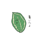 greens2（個別スタンプ：25）