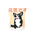 高齢犬アリスの丁寧な挨拶（個別スタンプ：19）