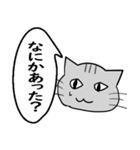 ひと言伝えるふきだしネコ 5（個別スタンプ：4）