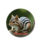 シマリス chipmunk（個別スタンプ：18）