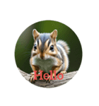 シマリス chipmunk（個別スタンプ：23）