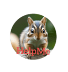 シマリス chipmunk（個別スタンプ：24）