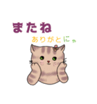 【にゃ】にゃんこスタンプ挨拶編（個別スタンプ：15）