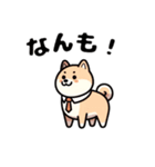 柴犬の挨拶: 北海道弁（個別スタンプ：3）