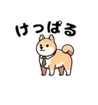 柴犬の挨拶: 北海道弁（個別スタンプ：7）