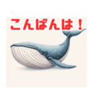 シンプルで可愛いクジラのイラスト（個別スタンプ：37）