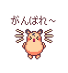 キンクマハムスターのドット絵日常スタンプ（個別スタンプ：4）