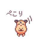 キンクマハムスターのドット絵日常スタンプ（個別スタンプ：21）