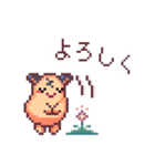 キンクマハムスターのドット絵日常スタンプ（個別スタンプ：30）