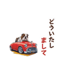 ブルドッグcar（個別スタンプ：7）