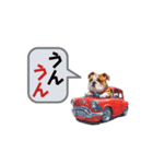 ブルドッグcar（個別スタンプ：16）