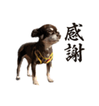 ちくの日常会話（個別スタンプ：1）