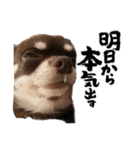 ちくの日常会話（個別スタンプ：4）