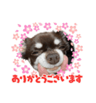 ちくの日常会話（個別スタンプ：6）