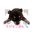 ちくの日常会話（個別スタンプ：7）
