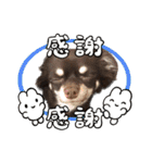 ちくの日常会話（個別スタンプ：9）