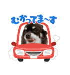 ちくの日常会話（個別スタンプ：12）