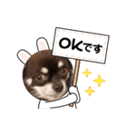 ちくの日常会話（個別スタンプ：16）