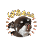 ちくの日常会話（個別スタンプ：29）