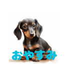 ダックスフンド 最愛の犬（個別スタンプ：20）